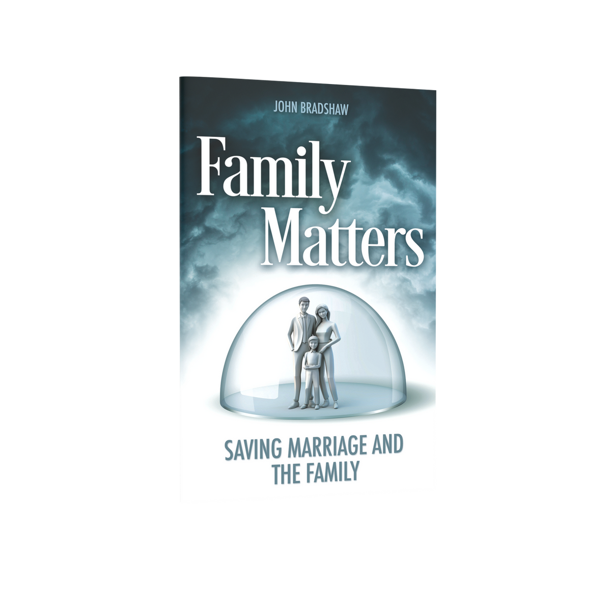 Family Matters Pocket Book ABC Christian Bookstore